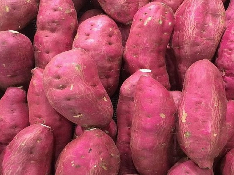 Batata Doce Bioveg Bio Kg