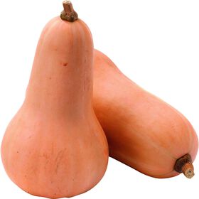 Abóbora Butternut Sem Resíduos De Pesticidas Continente