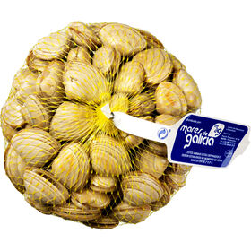 Amêijoa Branca Grande Fresca 1,1 kg