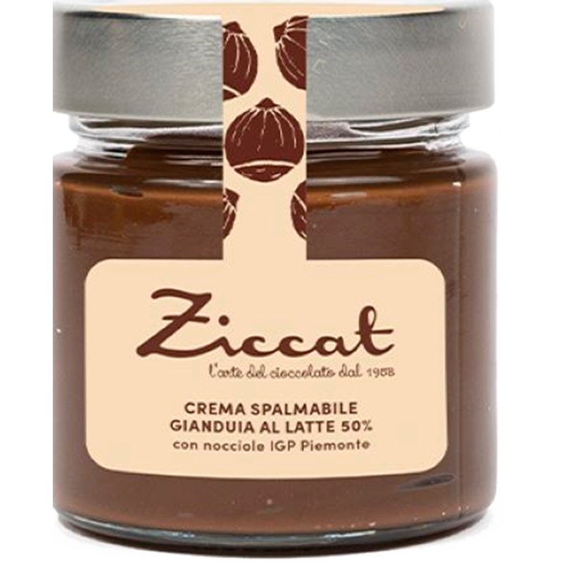 Creme Avelã E Chocolate 220 g