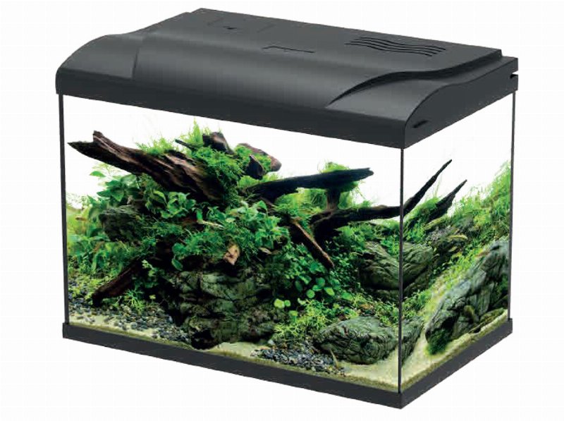 Aquário Em Kit Aquaseries Peixes Água Fria 49X30X40Cm 44 l