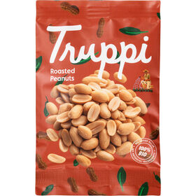 Amendoim Tostado Biológico Truppi 40 g