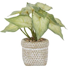 Planta Artificial Com Vaso Cimento Entrançado Kasa