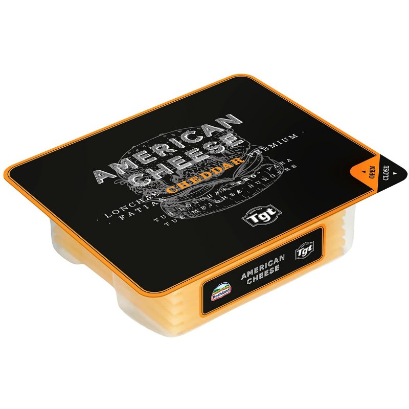 Queijo Cheddar Premium Fatias 150 g