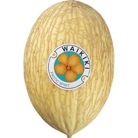 Melão Branco Waikiki Continente