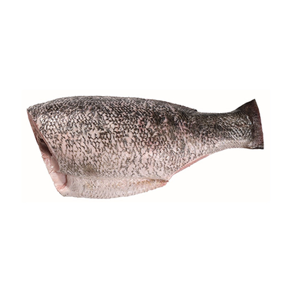 Perca Do Nilo Fresca Nossa Peixaria 3Kg