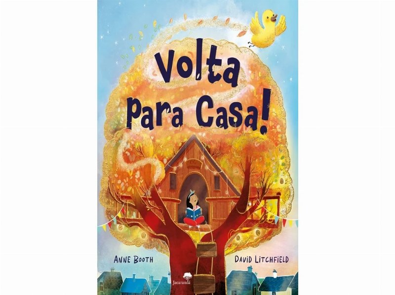 Livro Volta Para Casa David Litchfield Anne Booth