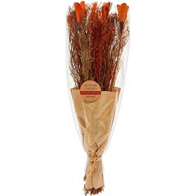 Haste Artificial Em Papel Laranja Kasa