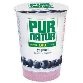 Iogurte Pedaços Mirtilo Pur Natur 500 gr