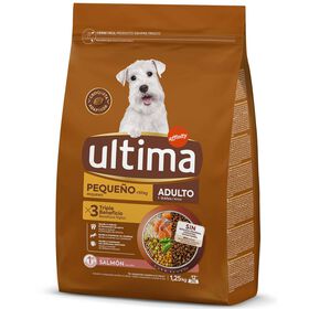 Ração Para Cão Adulto Mini Salmão Affinity Ultima 1,25 kg
