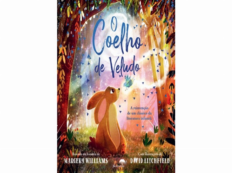 Livro O Coelho De Veludo De David Litchfield Margery Williams