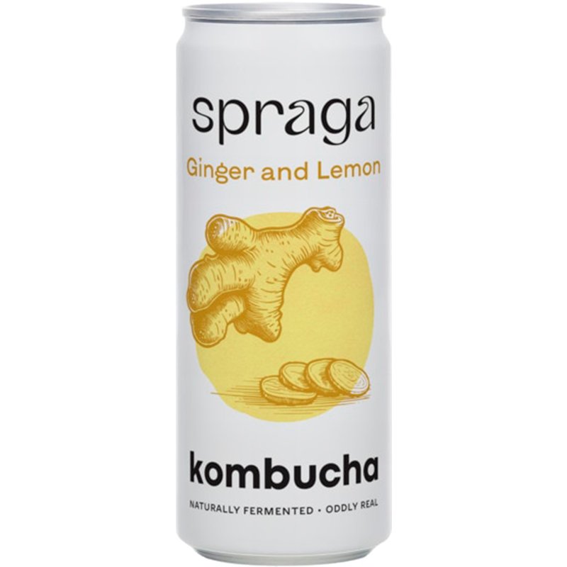 Kombucha Gengibre E Limão 330 ml