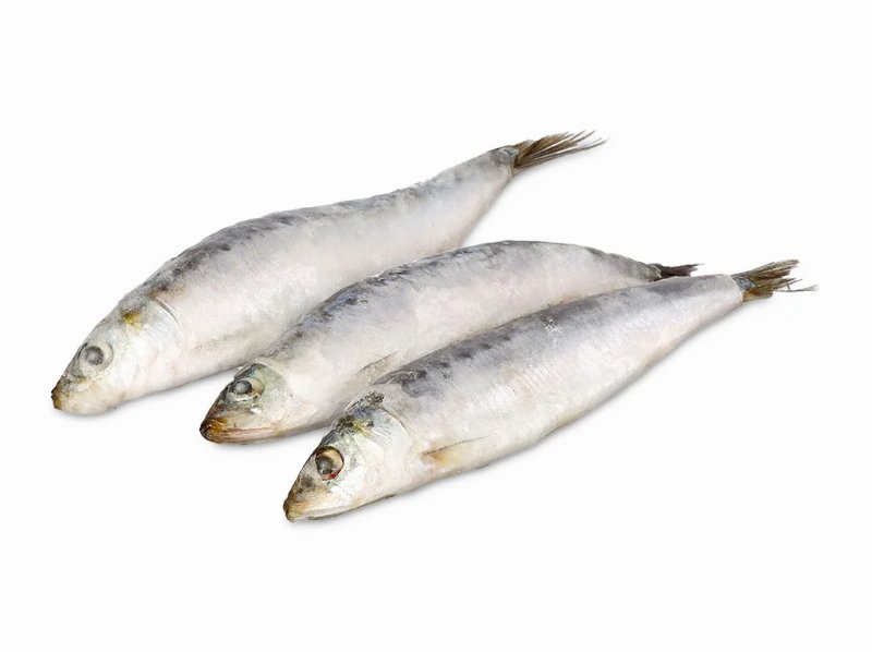 Sardinha Nacional Auchan Congelada Kg