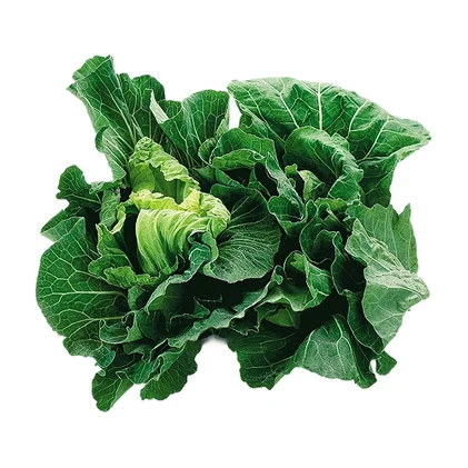 Couve Portuguesa Nossa Fruta E Legumes 0.74Kg