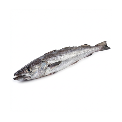 Pescada Do Cabo Fresca Nossa Peixaria 1.2Kg