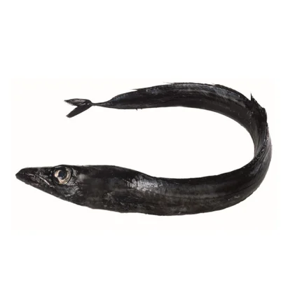 Peixe Espada Preto Fresco Nossa Peixaria 1.7Kg