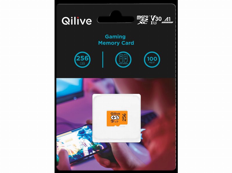 Cartão Memória Msd Qilive Cl.10 Uhs-I U3 Gaming 256Gb