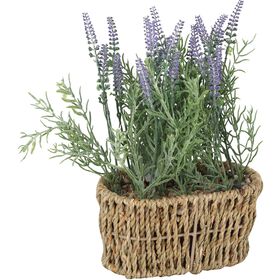 Planta Alfazema Com Vaso Verga Kasa
