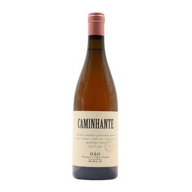 Caminhante Dão Vinho Rosé