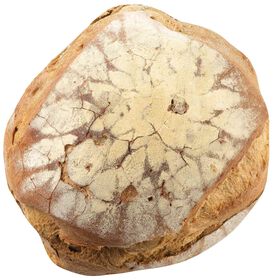 Pão Escuro Massa Mãe 400 gr (1 Un)