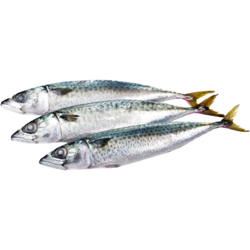 Cavala Inteira Peso Aproximado 150 g