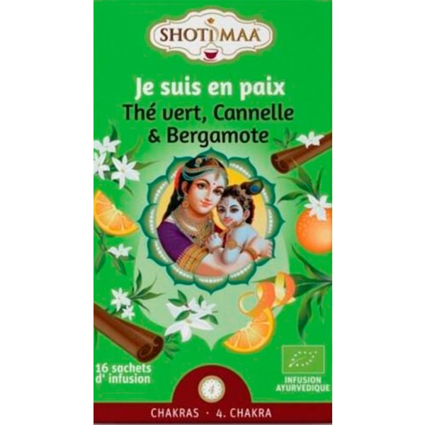 Infusão Chá Verde, Laranja, Canela 32 g