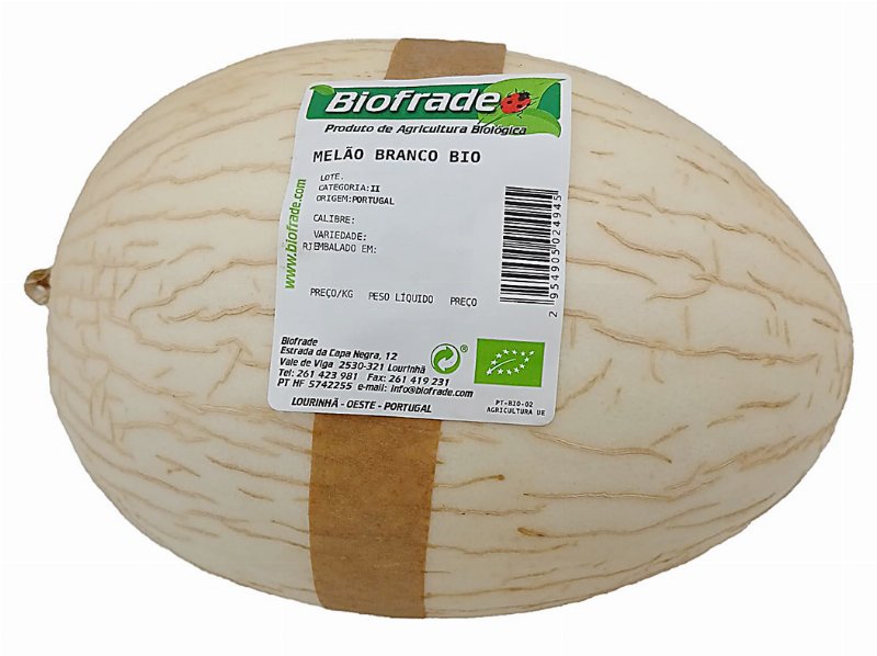 Melão Verde Bio Embalado Kg