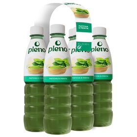 Tisana Matcha E Menta Pleno 6 X 33 cl