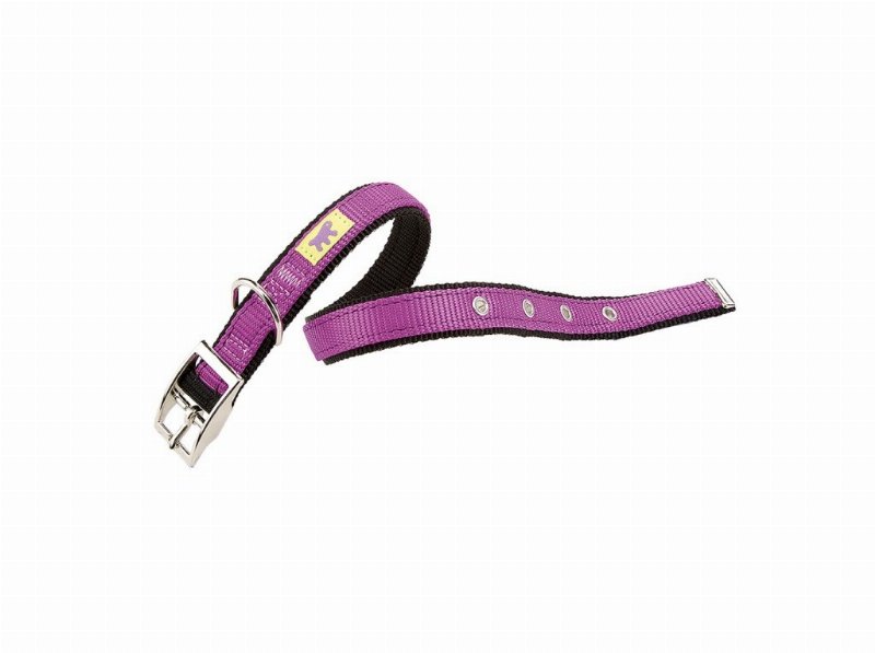 Coleira Cão Ferplast Dual Roxo Cf 20/43Cm