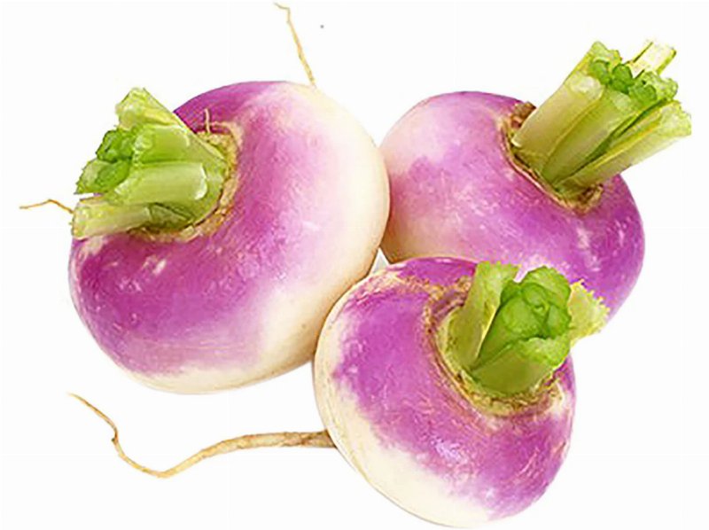 Nabo Sem Rama Kg Produto Local