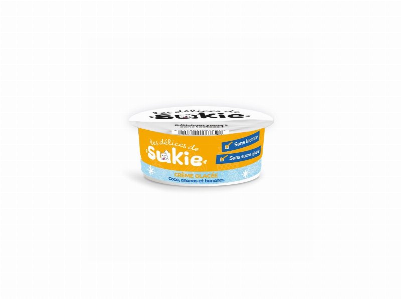 Gelado Para Cão Riga Coco/Ananás/Banana 110 g