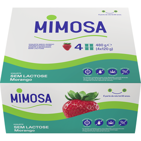 Iogurte Aroma Morango Sem Lactose Mimosa 480 gr (4 Un)