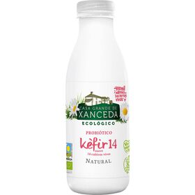 Iogurte Kefir 14 Natural Casa Grande De Xanceda 500 gr