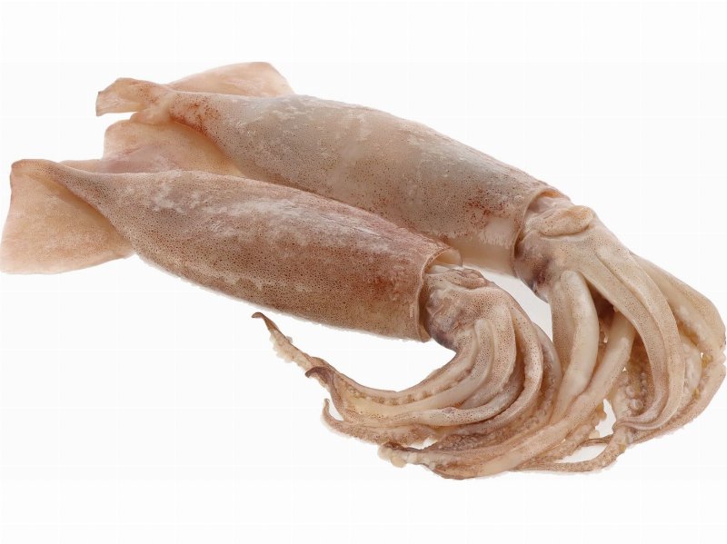 Pota Fresca Inteira Kg