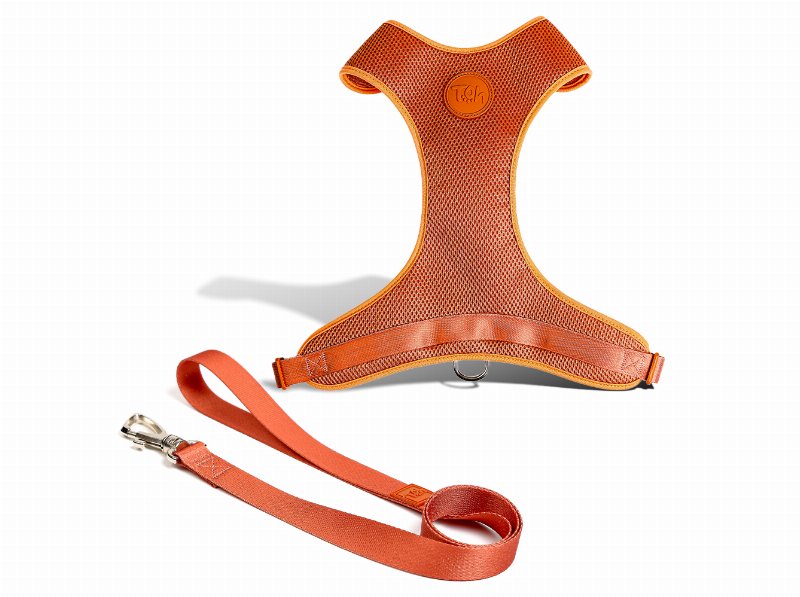 Peitoral Mesh Com Trela Toh Coral S