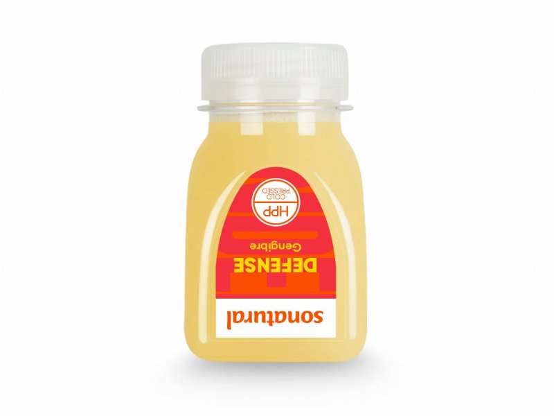 Sumo Sonatural Shot Gengibre 125 ml