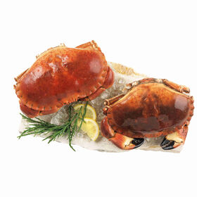Sapateira Cozida Congelada 400 gr
