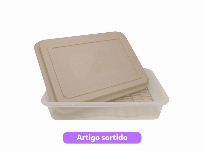 Caixa Com Tampa E Rede Codil 32X23X7.6Cm Cores Sortidas
