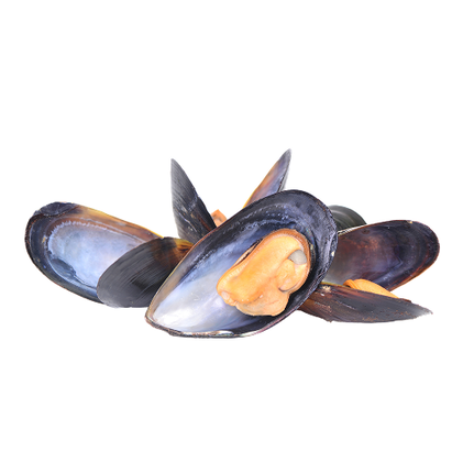 Mexilhão Fresco Nossa Peixaria 1Kg