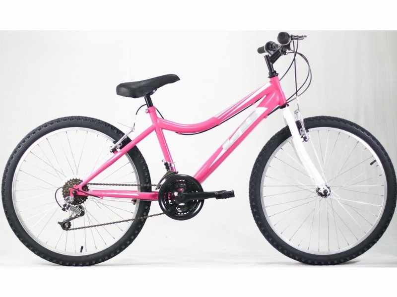 Bicicleta Goldbike 24" Cores Sortidas