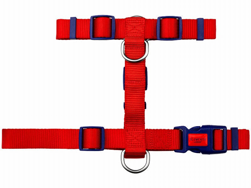Arnês Para Cão Dashi Elements Red S