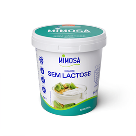 Iogurte Sem Lactose Natural Mimosa 1 kg