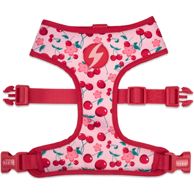 Peitoral Para Cão Eco Bloom 2Xl Dashi 1 Un