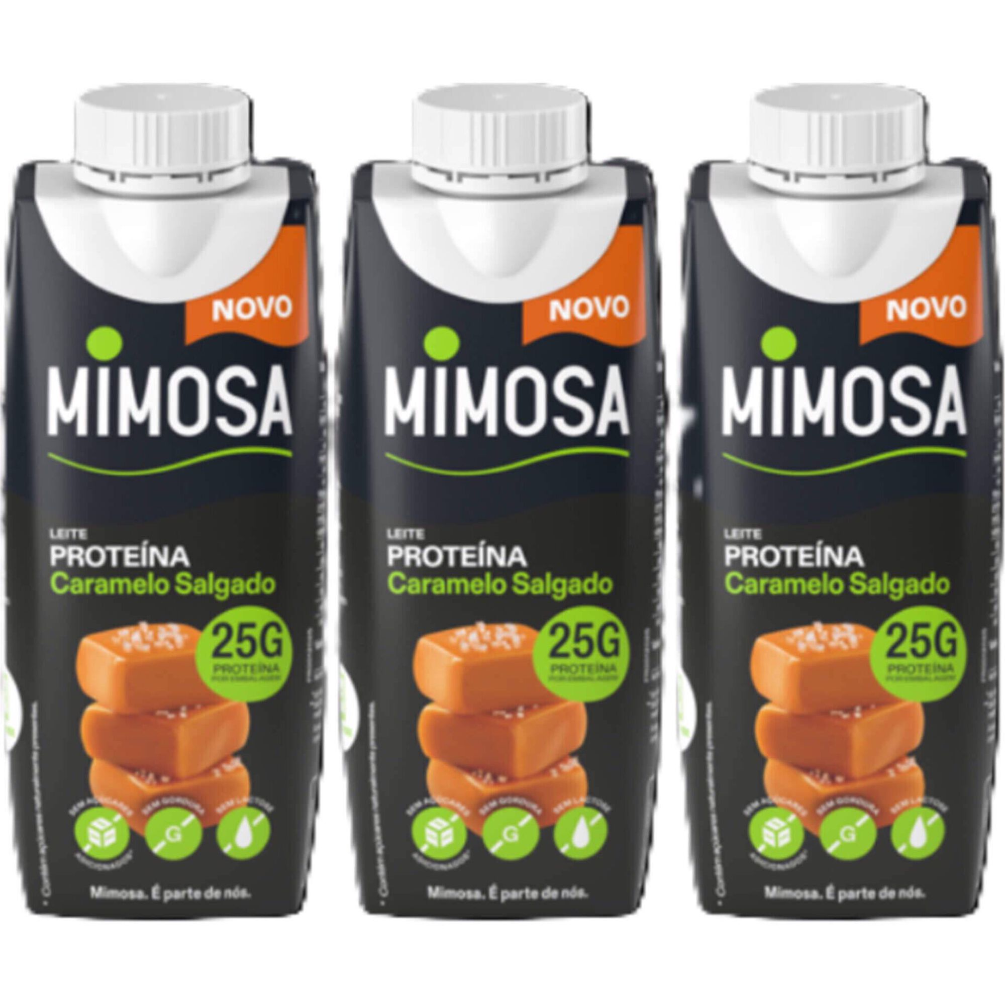 Leite Proteína Caramelo Salgado Sem Lactose Mimosa 3x250ml