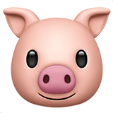 Carne de porco