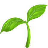 Bebidas vegetais